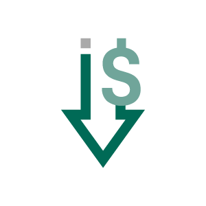 cs-reduce-it-cost-icon