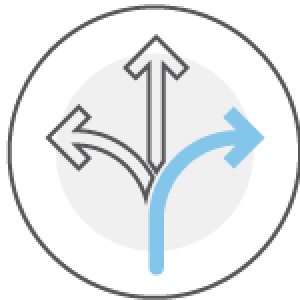 Halcyon Flexible Levels