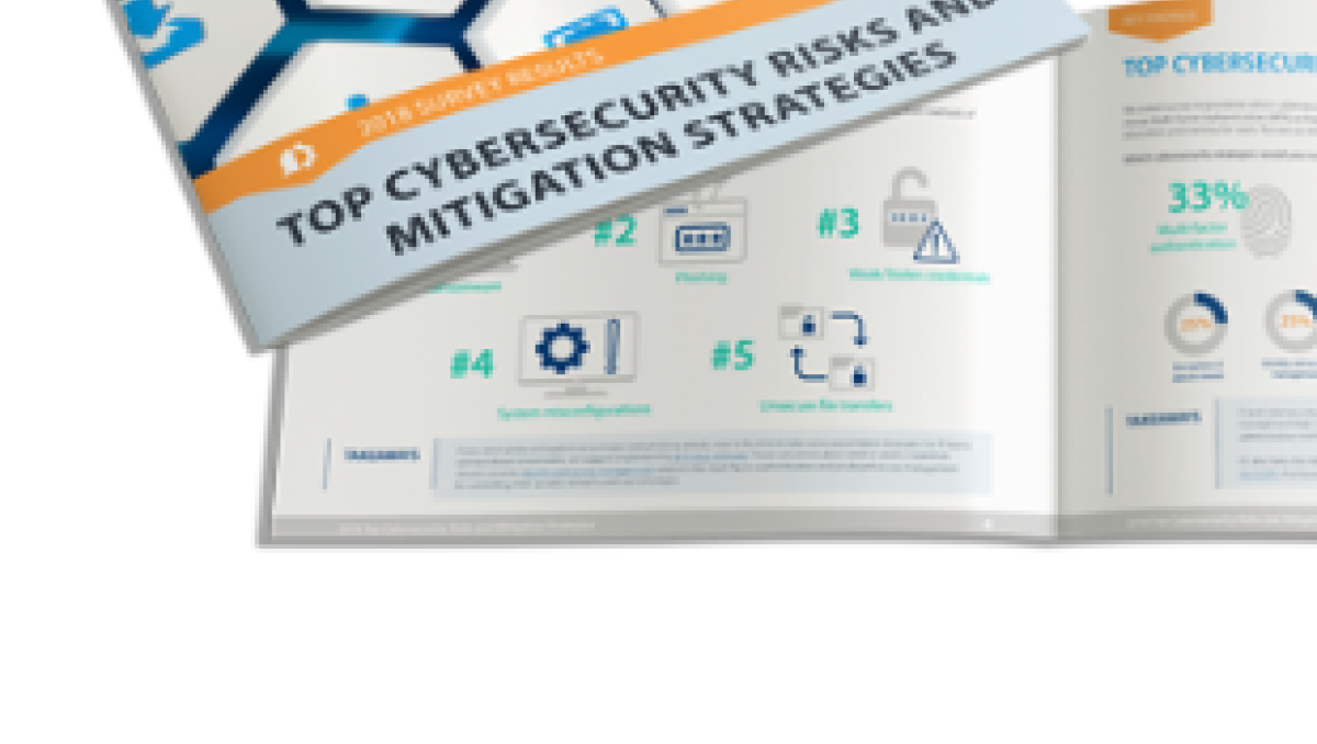 Cybersecurity Risk Mitigation: Statistics & Strategies